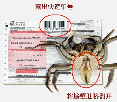 死蟹