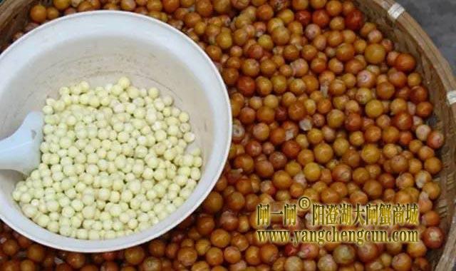 娄葑鸡头米