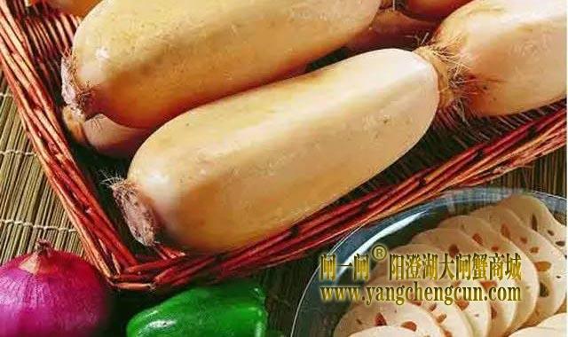 苏州塘藕