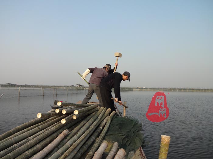 阳澄湖养蟹人劳动工作照（打桩）