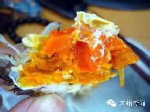 阳澄湖大闸蟹