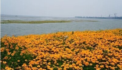 阳澄湖半岛获评首批国家级旅游度假区