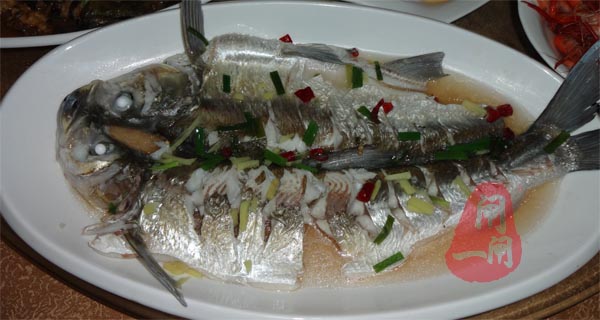 阳澄湖白鱼