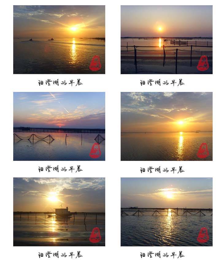 阳澄湖的早晨