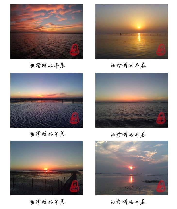 阳澄湖的早晨