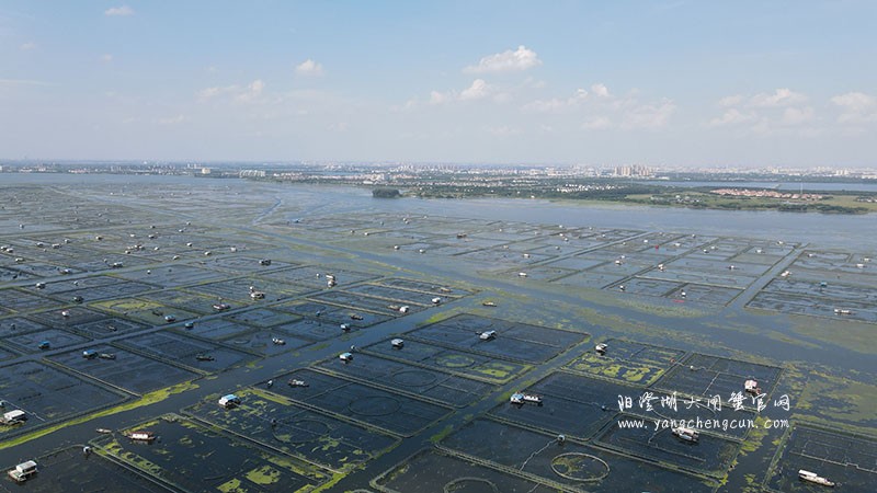 阳澄湖大闸蟹养殖水域