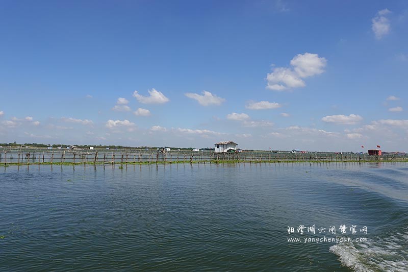 阳澄湖