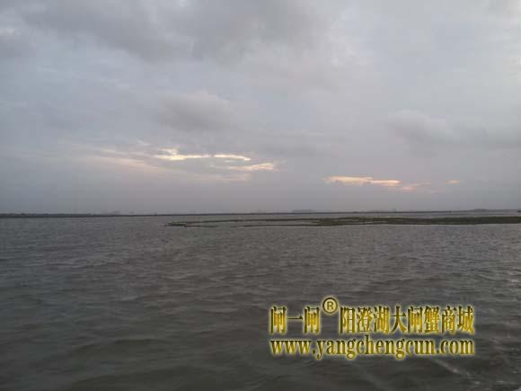 阳澄湖上有一种风叫台风