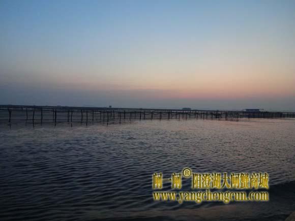 阳澄湖上有一种风景叫--日出