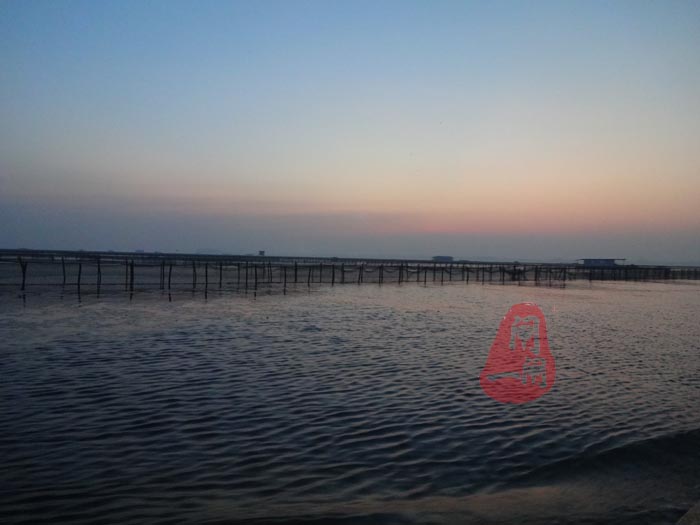 避高温-阳澄湖蟹农早行图（原创）