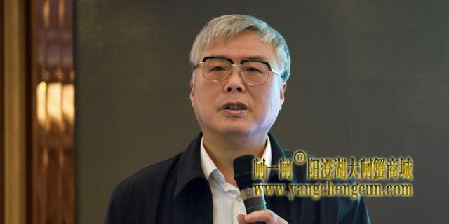 杨维龙