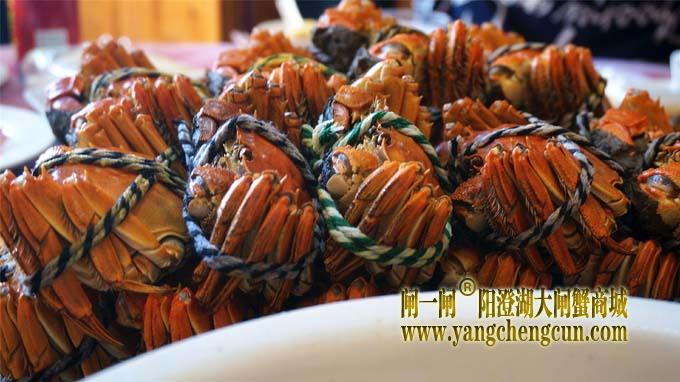 阳澄湖大闸蟹