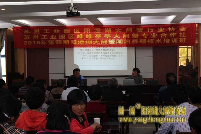 2016年第四期阳澄湖大闸蟹养殖技术培训班