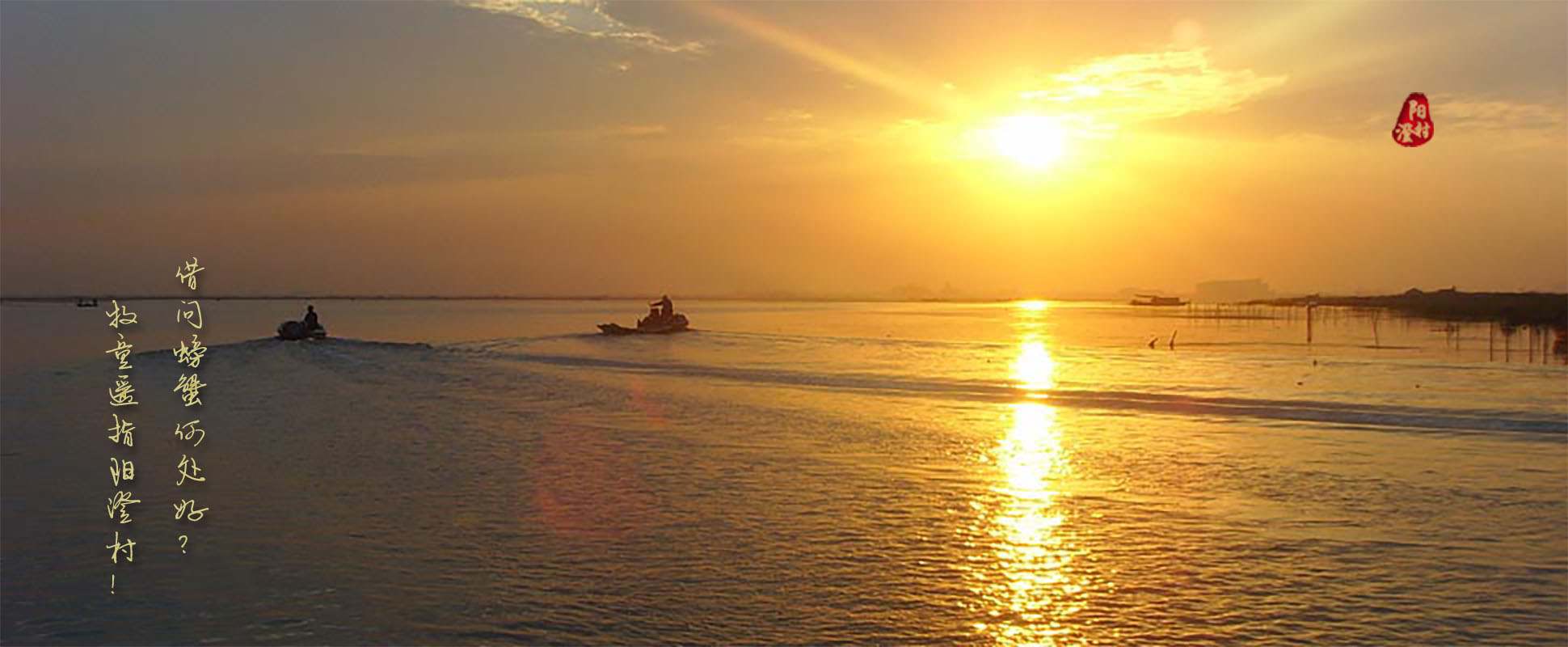 阳澄湖的早晨
