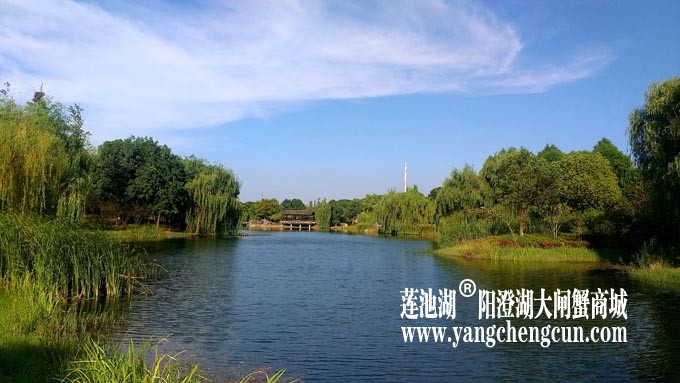 仙樱湖