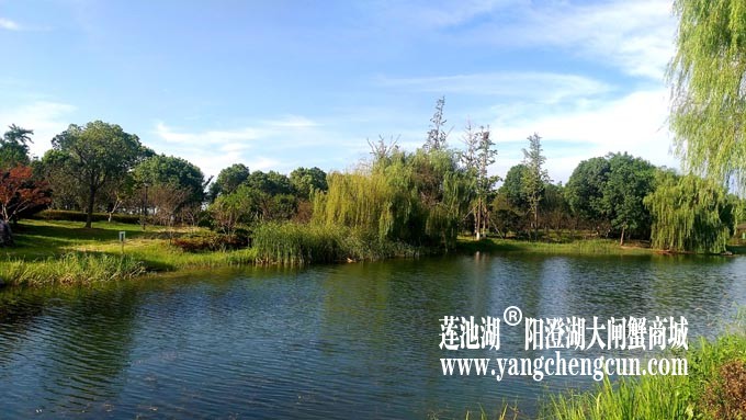 仙樱湖