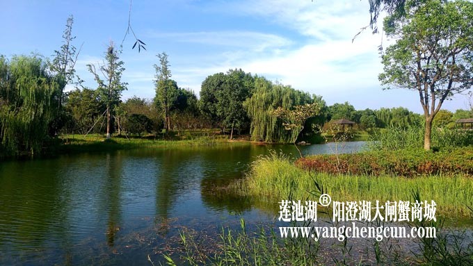 仙樱湖