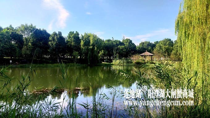 仙樱湖
