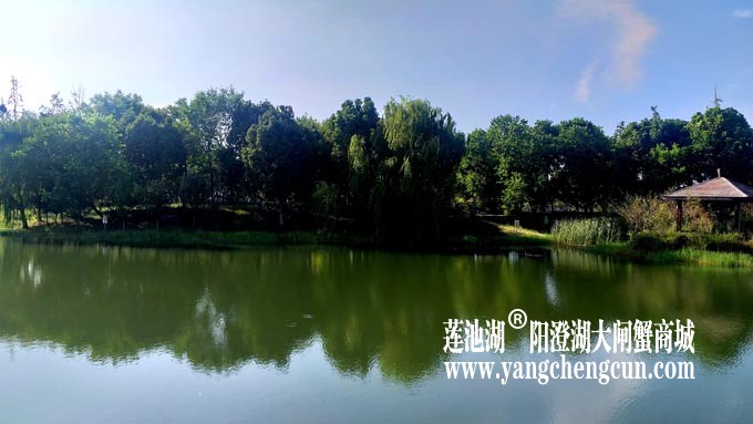 仙樱湖