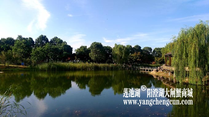 仙樱湖