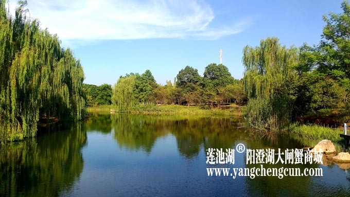 仙樱湖