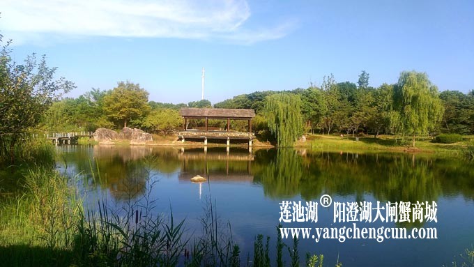 仙樱湖