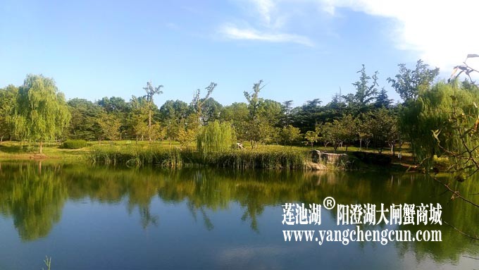 仙樱湖