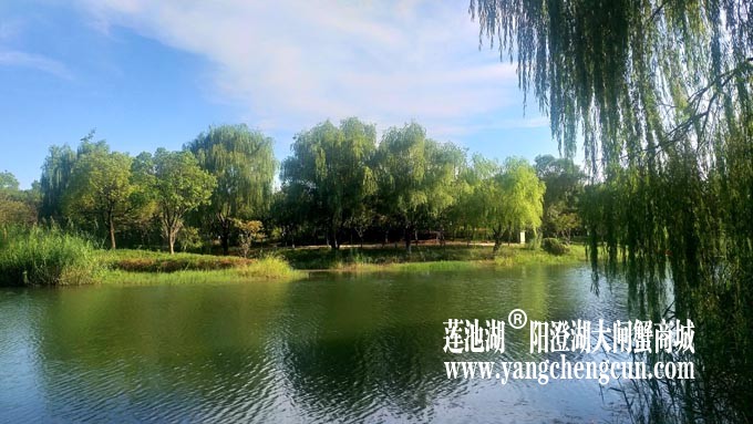 仙樱湖
