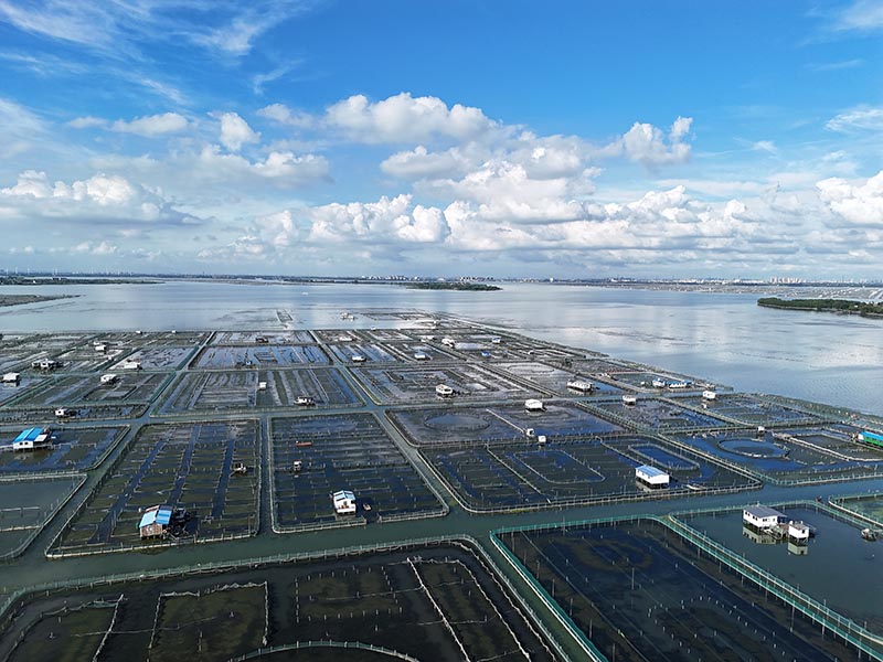 阳澄湖