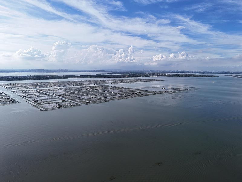 阳澄湖