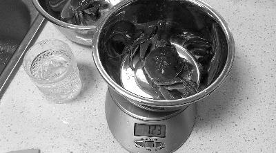 注水后 　　注水后重量为123克，实际增重仅18克