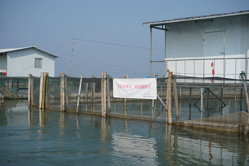 半岛至尊宝品牌阳澄湖大闸蟹养殖基地