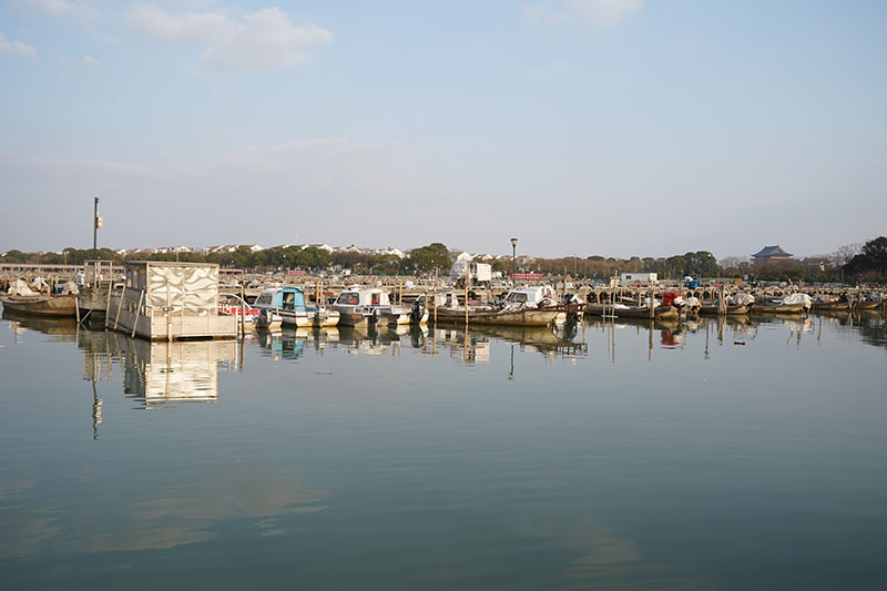 阳澄湖蟹农码头