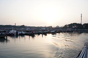 阳澄湖蟹农打桩加固围网实录