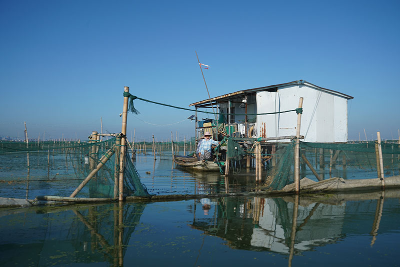 阳澄湖蟹农