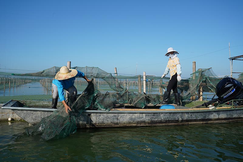 阳澄湖蟹农